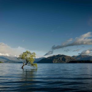 jasper-van-der-meij-756-unsplash-compressed